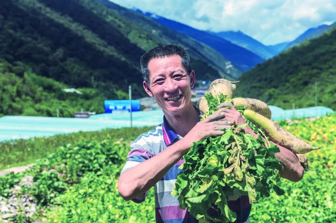 蜀青振兴贷是啥,蜀青振兴贷