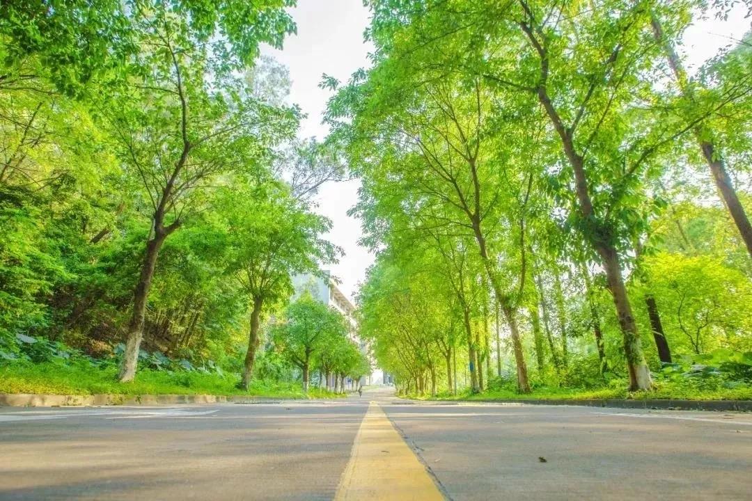 广东高考排名前三的专科学校,广东专科学校排名前十公办分数线