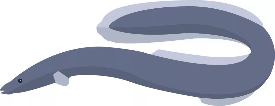 琛屽懗鏃呰,瀵诲懗椤哄痉