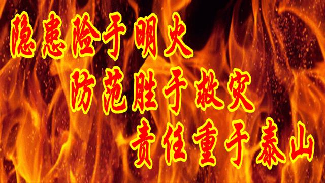 奈曼三花猫,奈曼三金