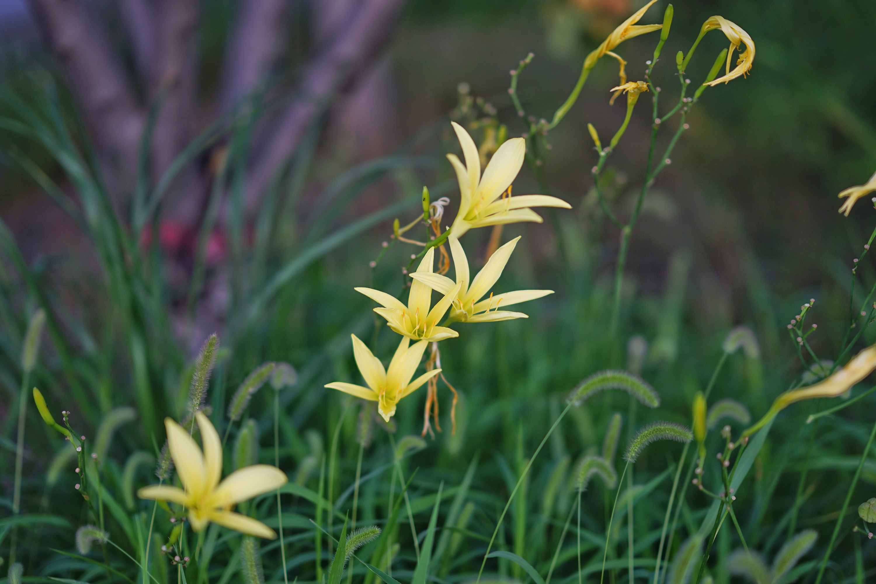 从北京出发往返10天自驾游路线,北京出发向南自驾游攻略2-3天