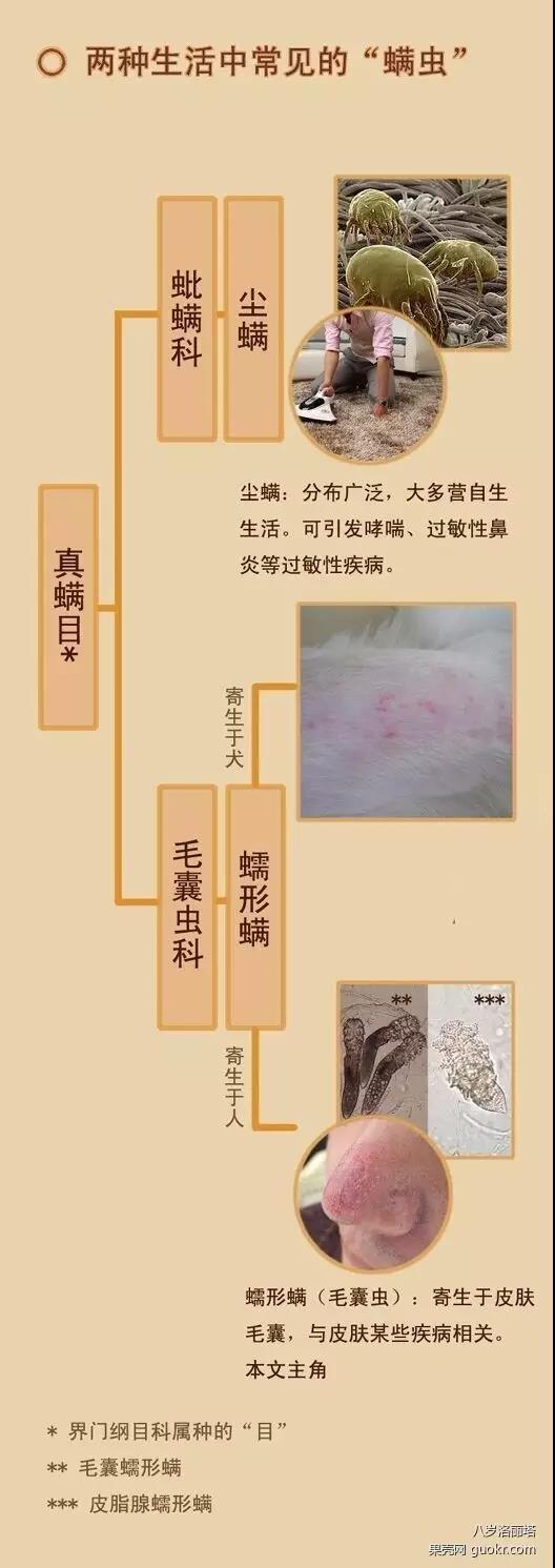 健康真探社,健康侦探社是骗人的吗