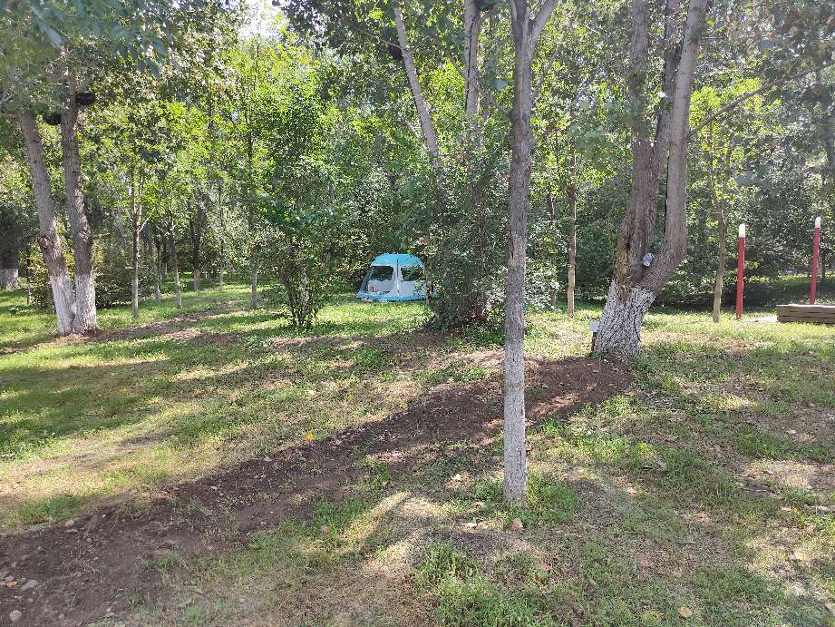 沈阳周边有山有水的免费景点,沈阳工业展览馆2021车展免费门票