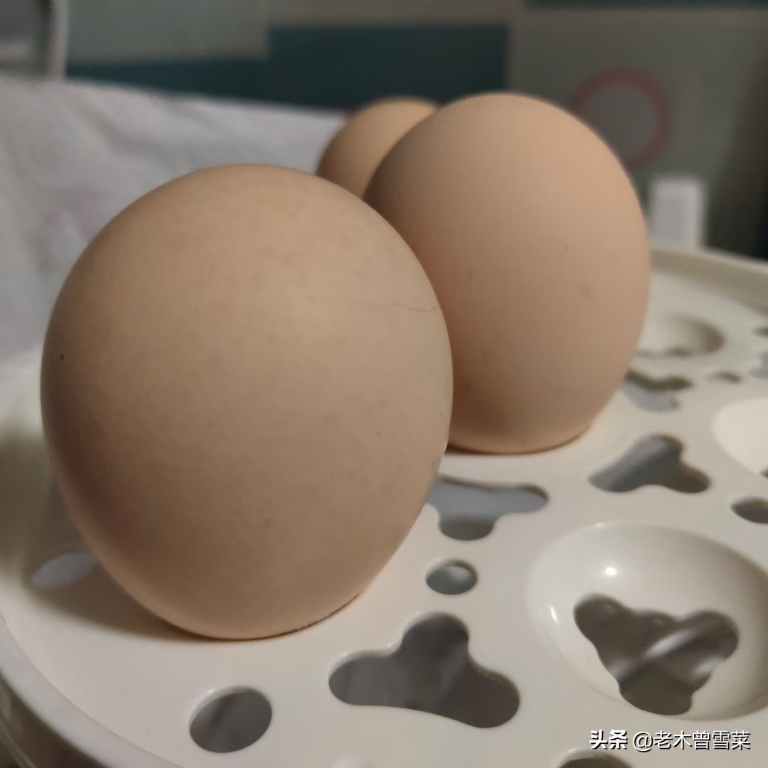 2021吃好蛋~我买过的那些电商鸡蛋