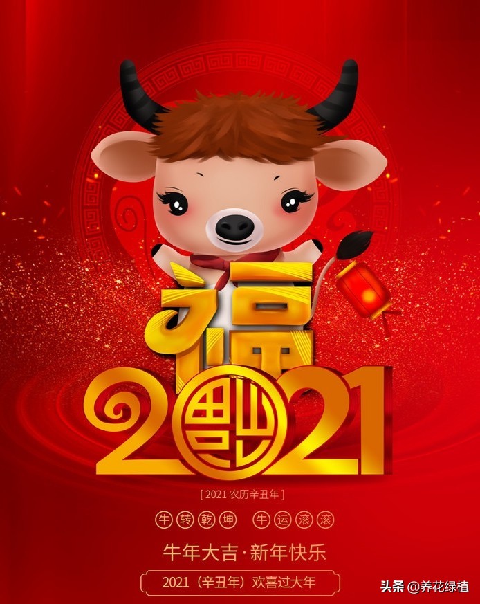 牛年是否从立春开始,牛年是从立春开始还是初一开始