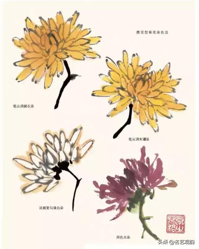 写意菊花小品国画大全,国画写意菊花和螃蟹