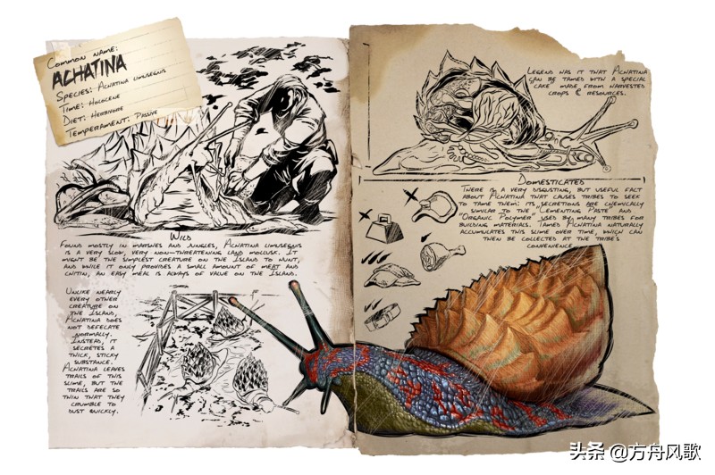 方舟蜗牛怎么驯服手机版,方舟蜗牛怎么驯