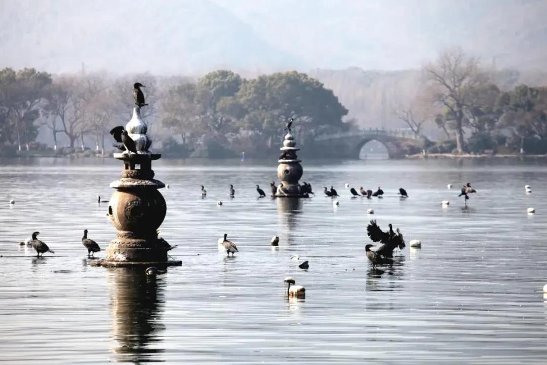 来到江南观美景,来江南感受一下文化气息