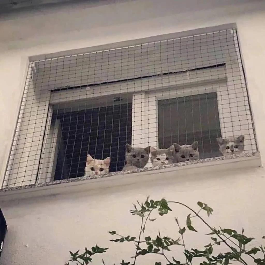 朋友圈背景图有病,朋友圈背景图包