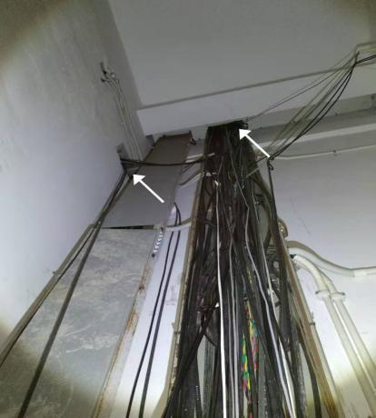 食品公司鼠害防治的有效方法,超市防鼠虫害防治方案