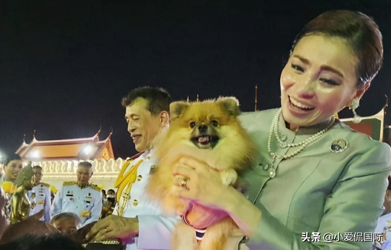 泰国版爱情石？素缇达晒徽章嘲讽诗尼娜盗版，拉玛十世懒得改变