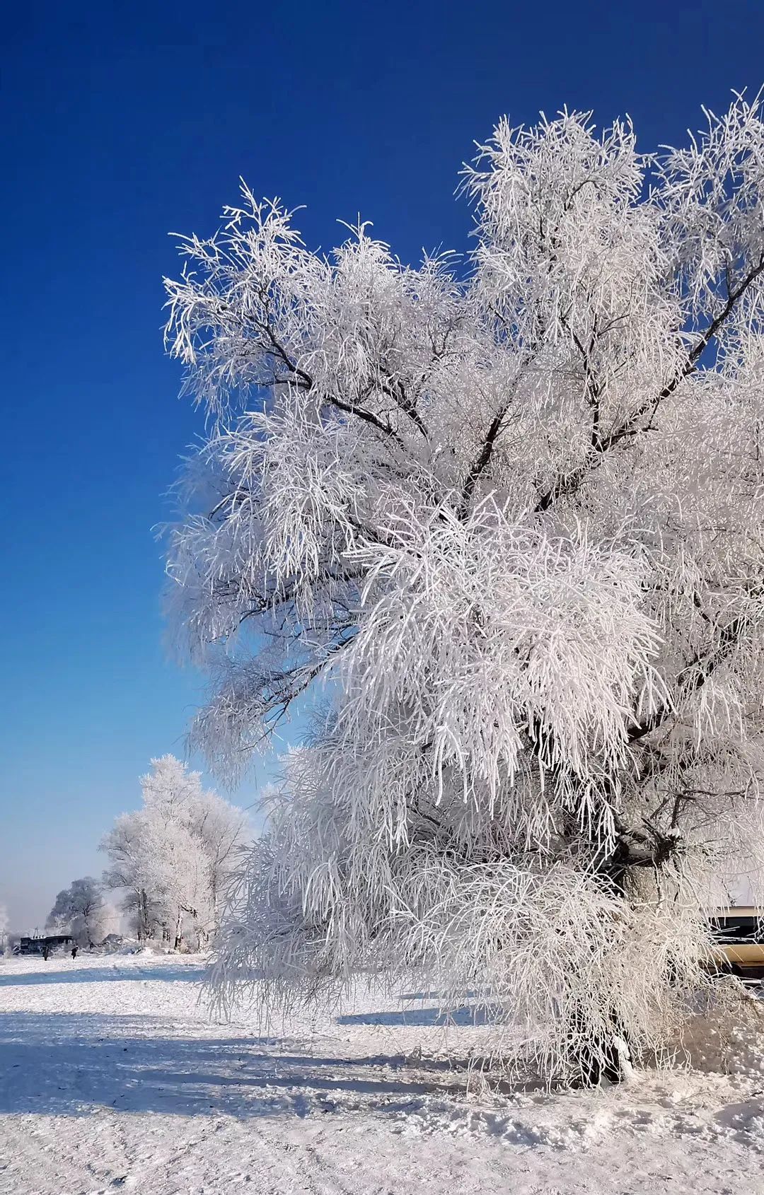 吉林旅游新玩法,吉林冰雪硬核