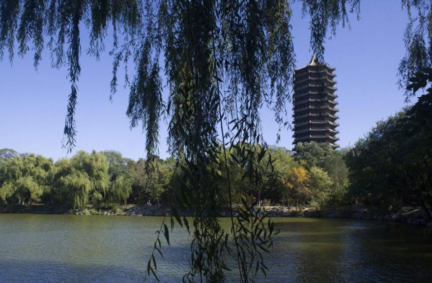 清华北大真正的实力如何,勤奋在天赋面前不堪一击王蒙