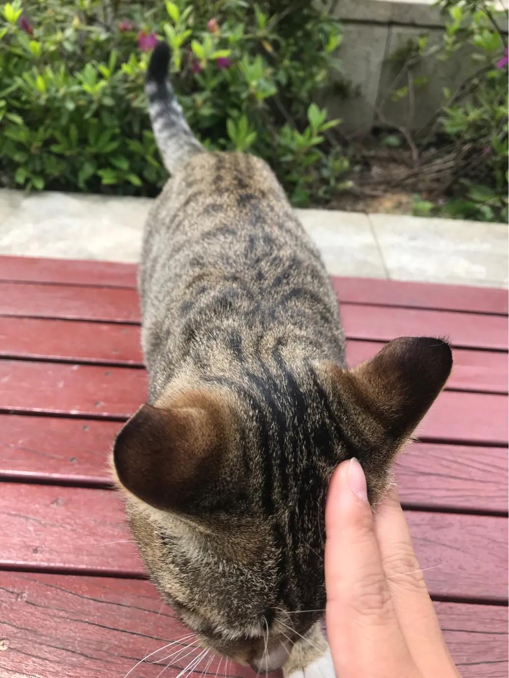 合肥祥源城地址,合肥祥源城花店