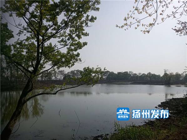 扬州北湖湿地公园什么时候开放,扬州绿杨湖湿地公园在哪里
