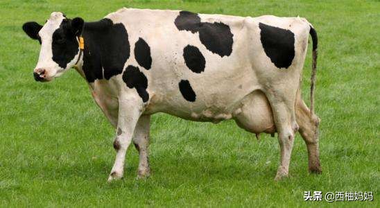 如何增加乳汁量,乳汁分泌不足时如何增加母乳量