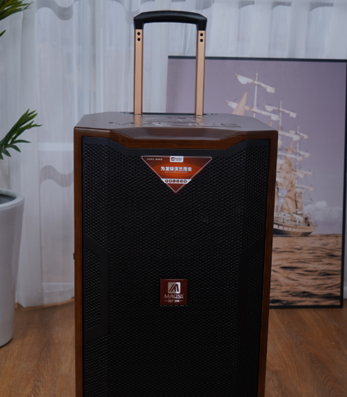 户外音响哪个音质比较好,进口户外音响音质最好的牌子