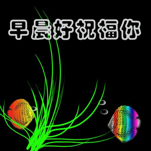 祝福表情包｜穷则独善其身，达则兼济天下