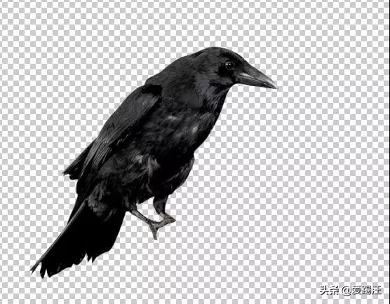 ps如何做成古风水墨晕染特效教程,ps设计复古烟雾效果人像海报教程