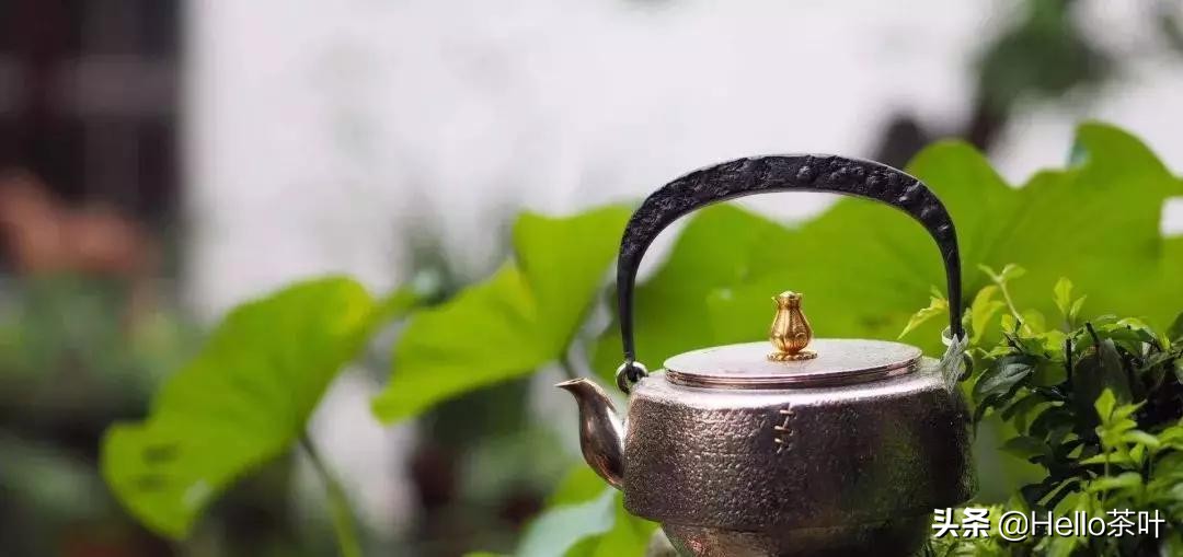 煮水用银壶好还是铜壶好,煮水银壶市面上价格几何