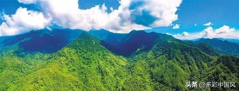 海南天然氧吧舒适景点,海南岛热带天然森林