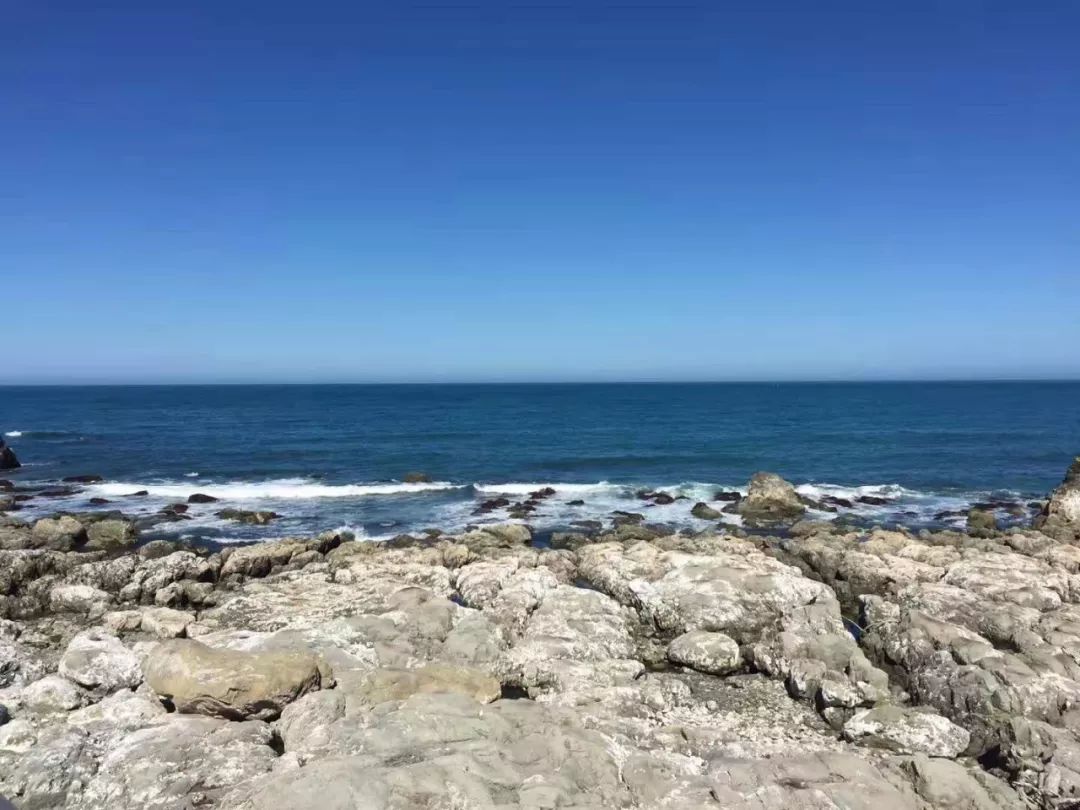 bt项目未公开招投标,政府投资项目法律风险