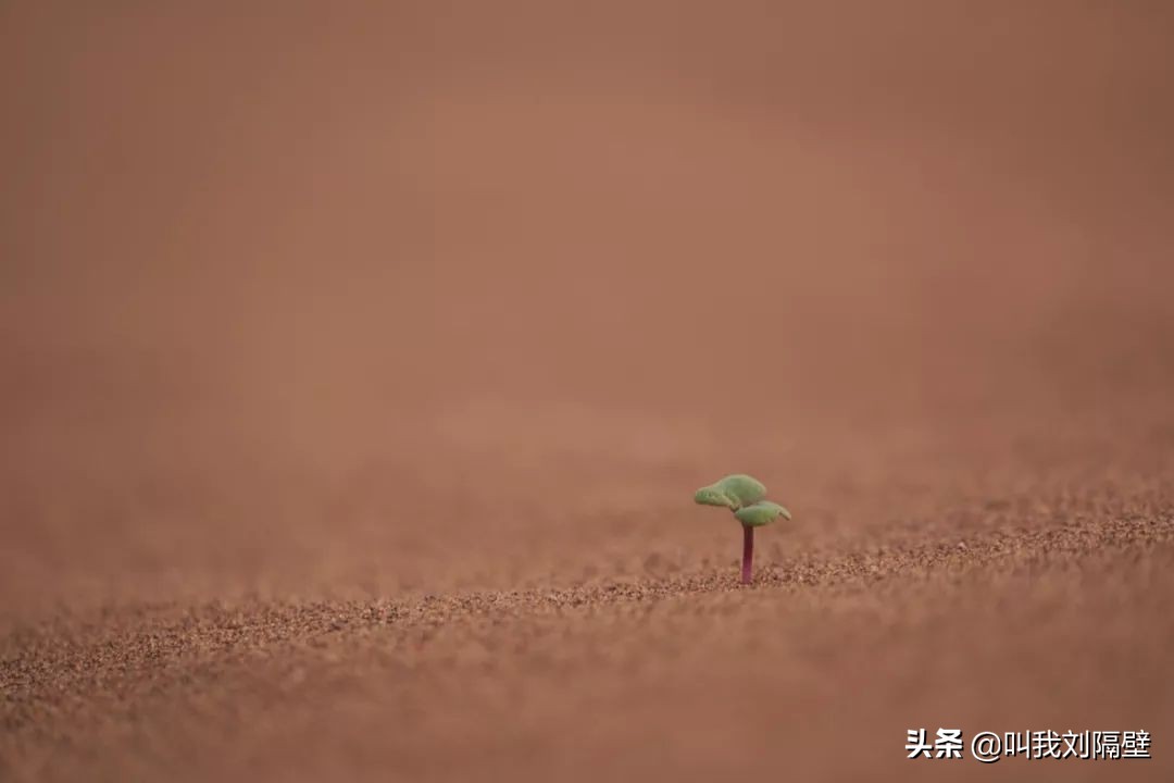 这些年你看不起的微商，或许是一种更高级的商业模式