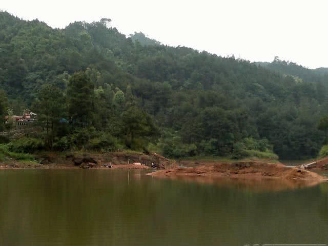 钓鱼人的困惑,这种健鲤和平常鲤鱼不一样吗?