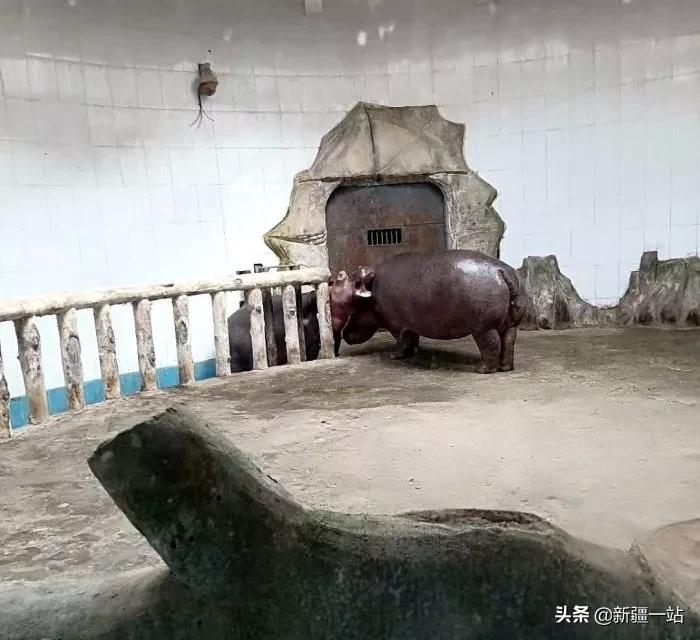 老城回忆乌鲁木齐,乌鲁木齐值得回忆的地方