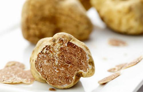 松露昂贵,松露价格大概是多少