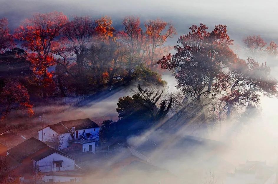 婺源市区游玩,婺源本地人攻略