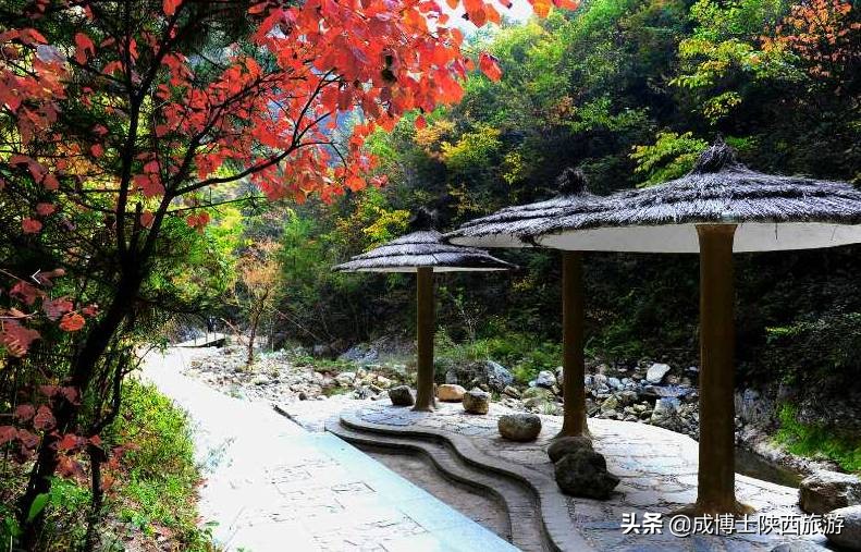 陕南最灵的峡谷,陕南金丝大峡谷