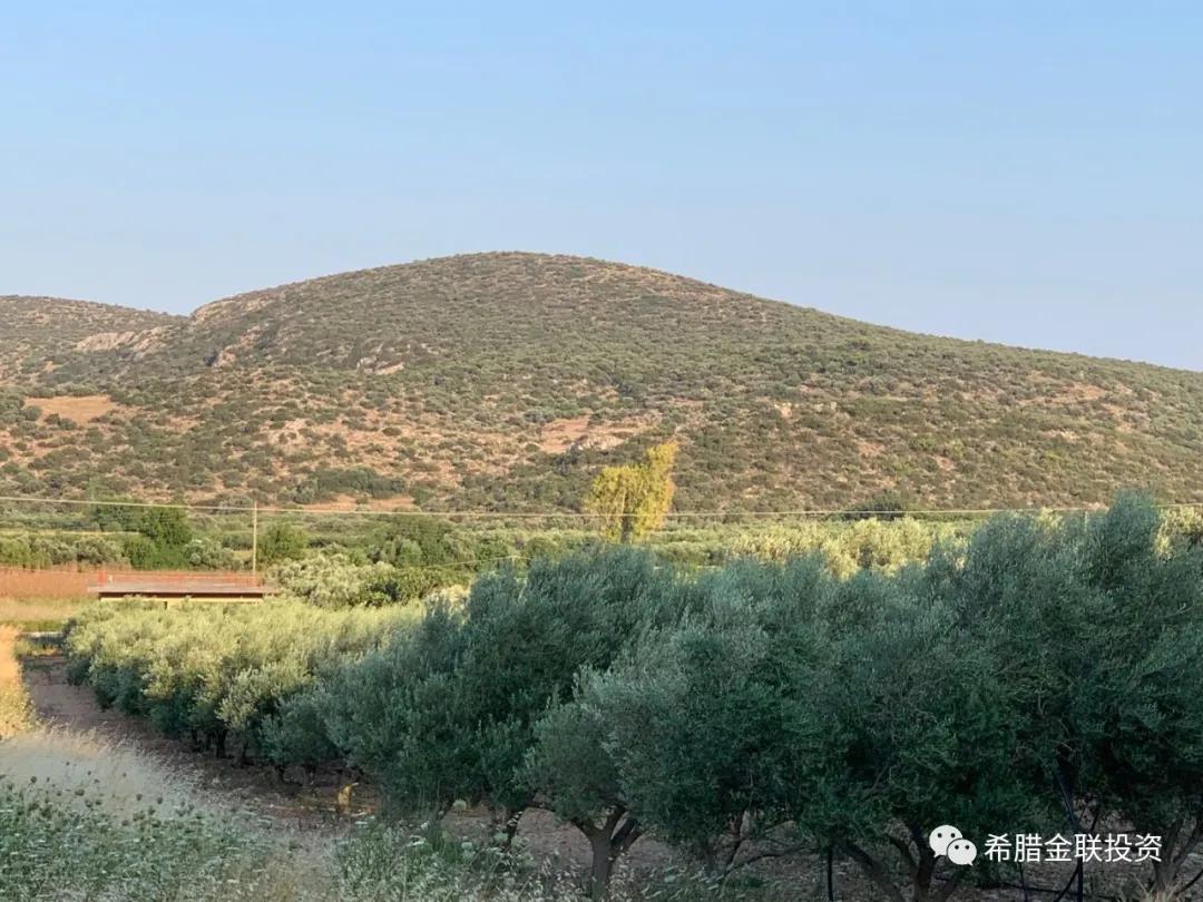 希腊农地价格,希腊土地多少钱一亩