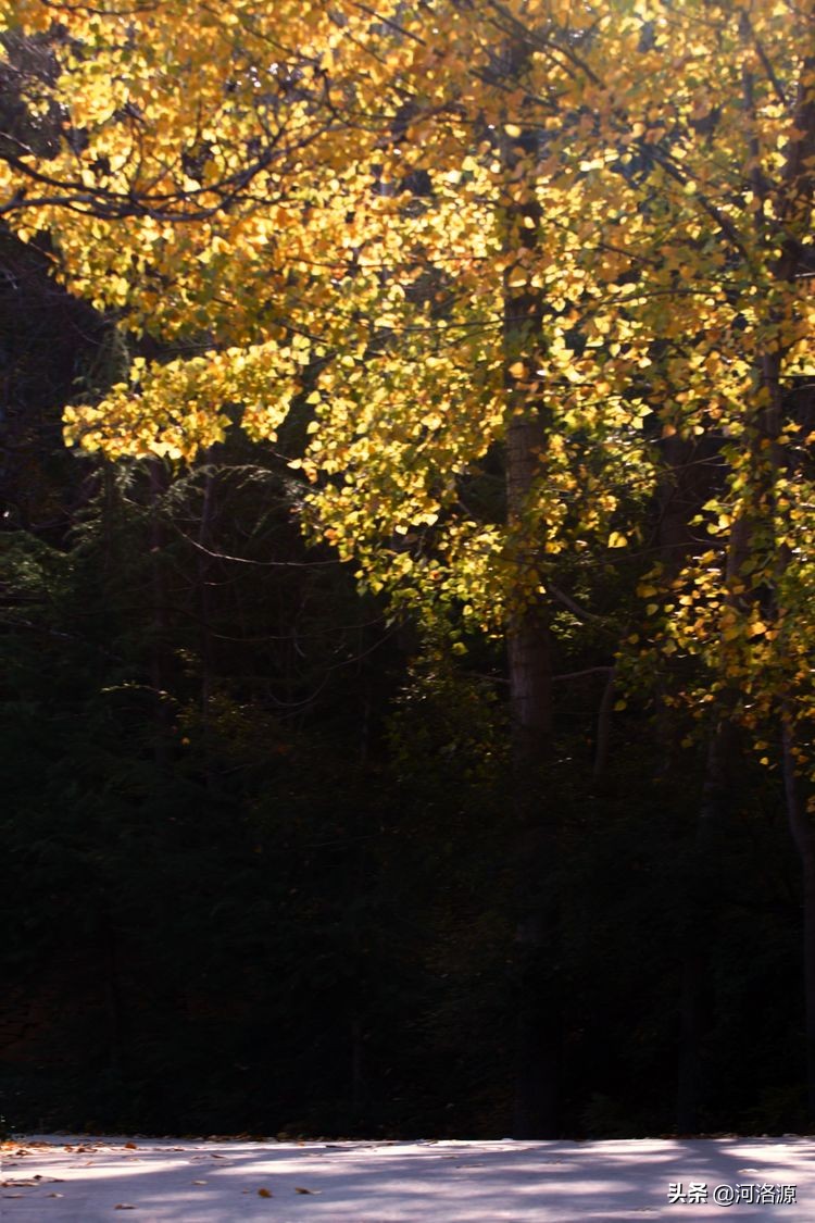 巩义最美乡村,巩义最美乡村游玩好去处