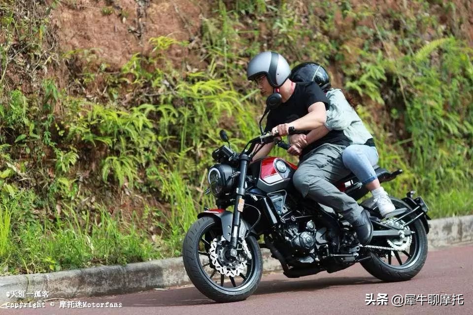 入门复古大混战，五本鸷道来者不善