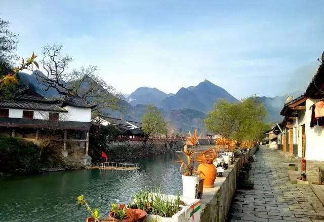 汉中面皮巨头,汉中邓惠民面皮