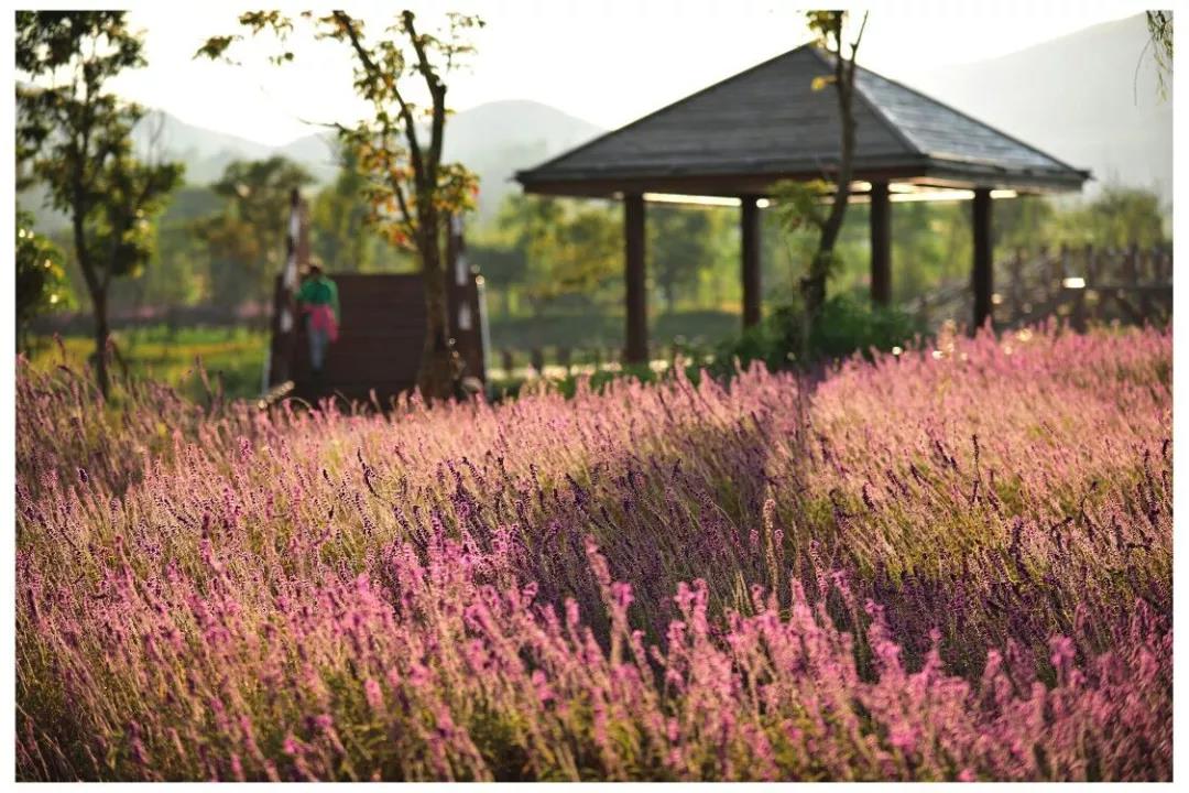 开远是哪个地方,开远市离边境多远