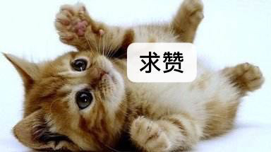 十大最缓震篮球鞋,夏天透气好还缓震的篮球鞋