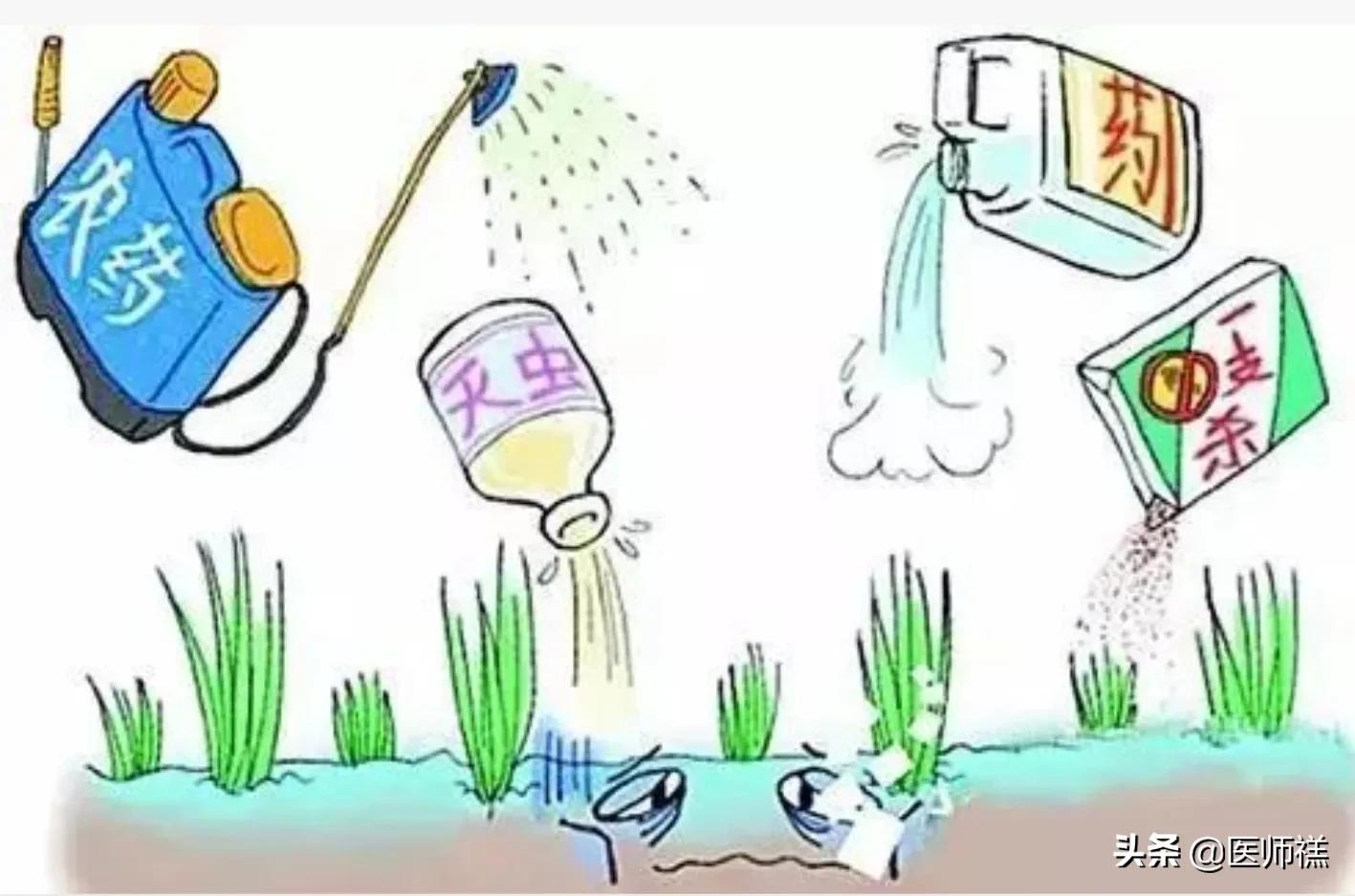 食物中的农药残留有哪些,哪些东西是农药残留的食物