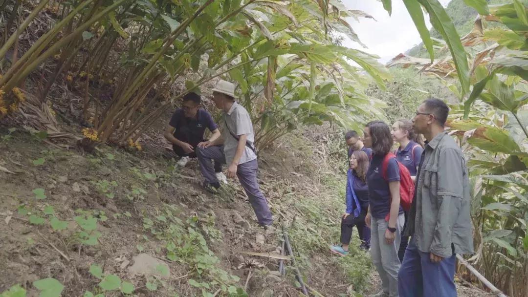 字节跳动有哪些舒服岗位,在字节跳动工作是一种怎样的体验