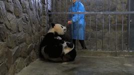 搞笑动图gif图片,搞笑动图gif微信表情包