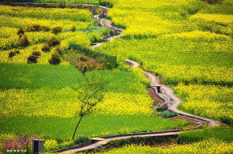 跟着我去丽江古城旅游攻略,跟我去旅行