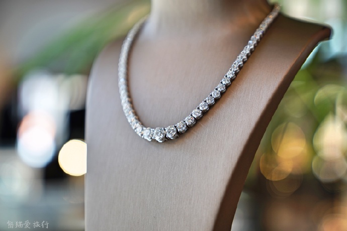 荷兰10日自由行详细攻略1，在自由包容浪漫有爱的国度放飞自我