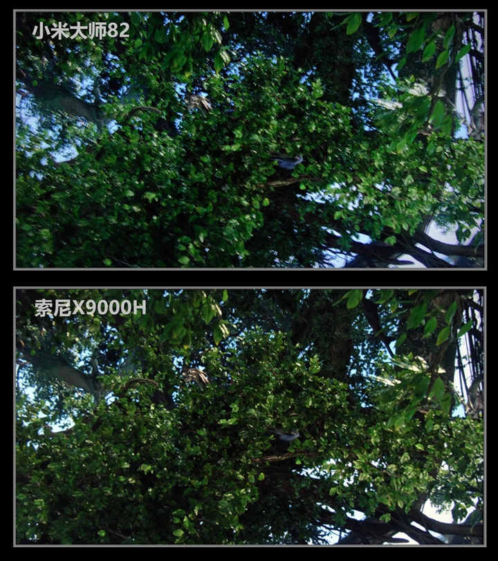 小米大师82PK索尼X9000H/雷鸟R635C全面评测