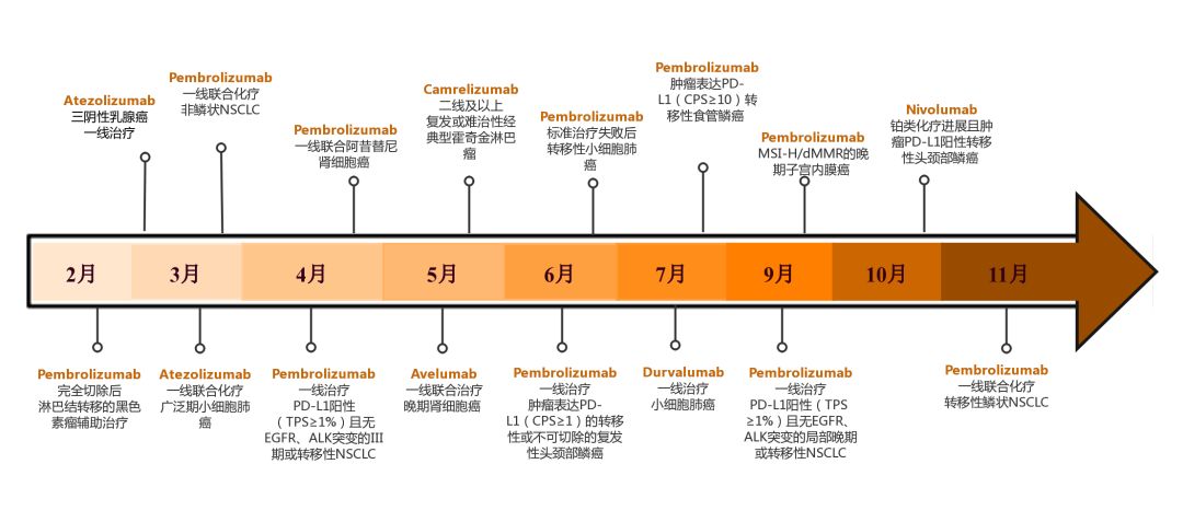 得了癌症为啥要做基因检测,得了癌症医生