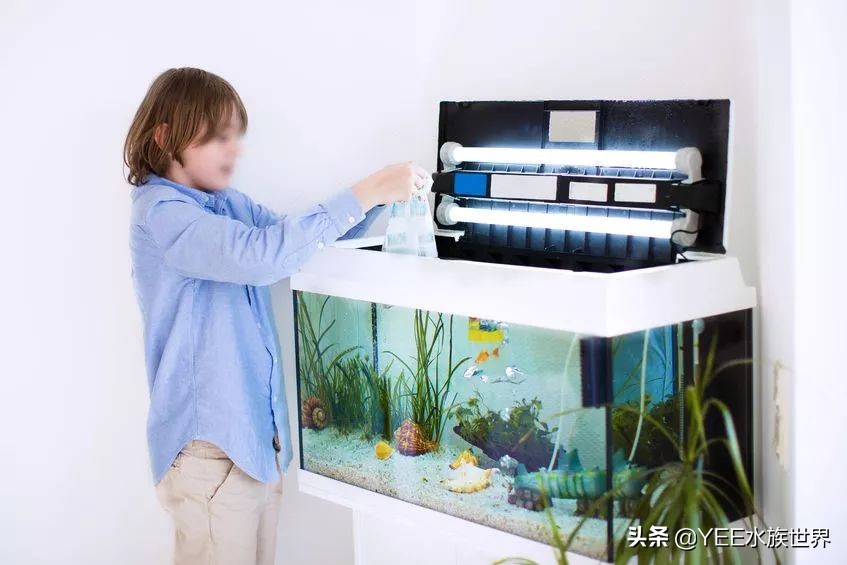 购买硝化细菌性价比高,硝化细菌买液态的好还是买胶囊好