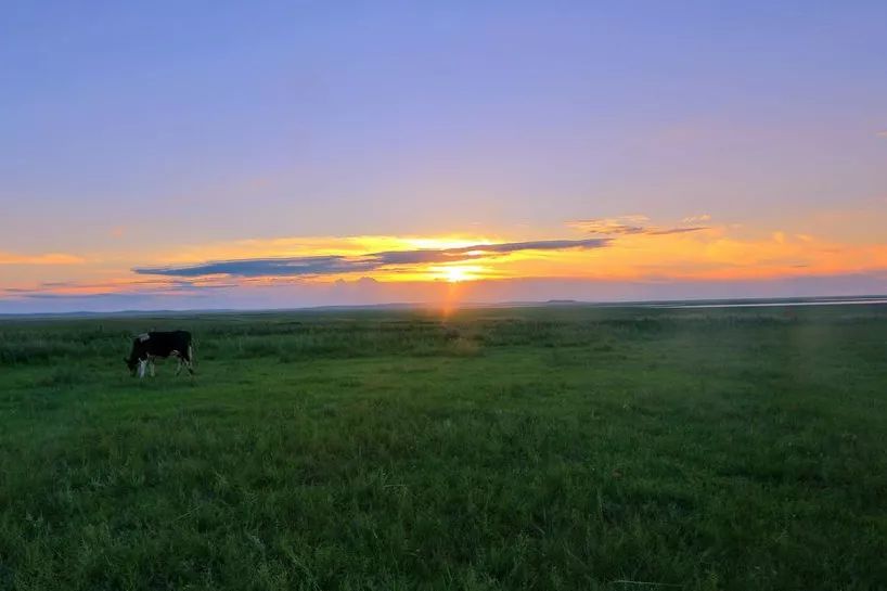 内蒙除了草原还有沙漠,内蒙古除了呼伦贝尔还有哪里