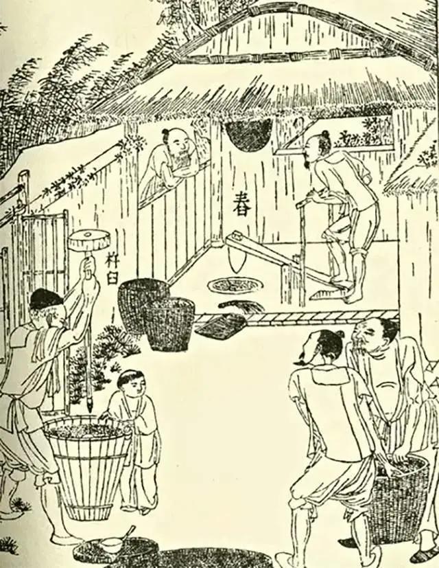 中国三次革命分别是什么,两次粮食革命是什么