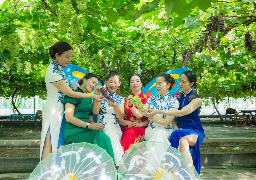 文旅资讯站｜慈溪市第十六届葡萄节暨灾后复产现场会顺利举行