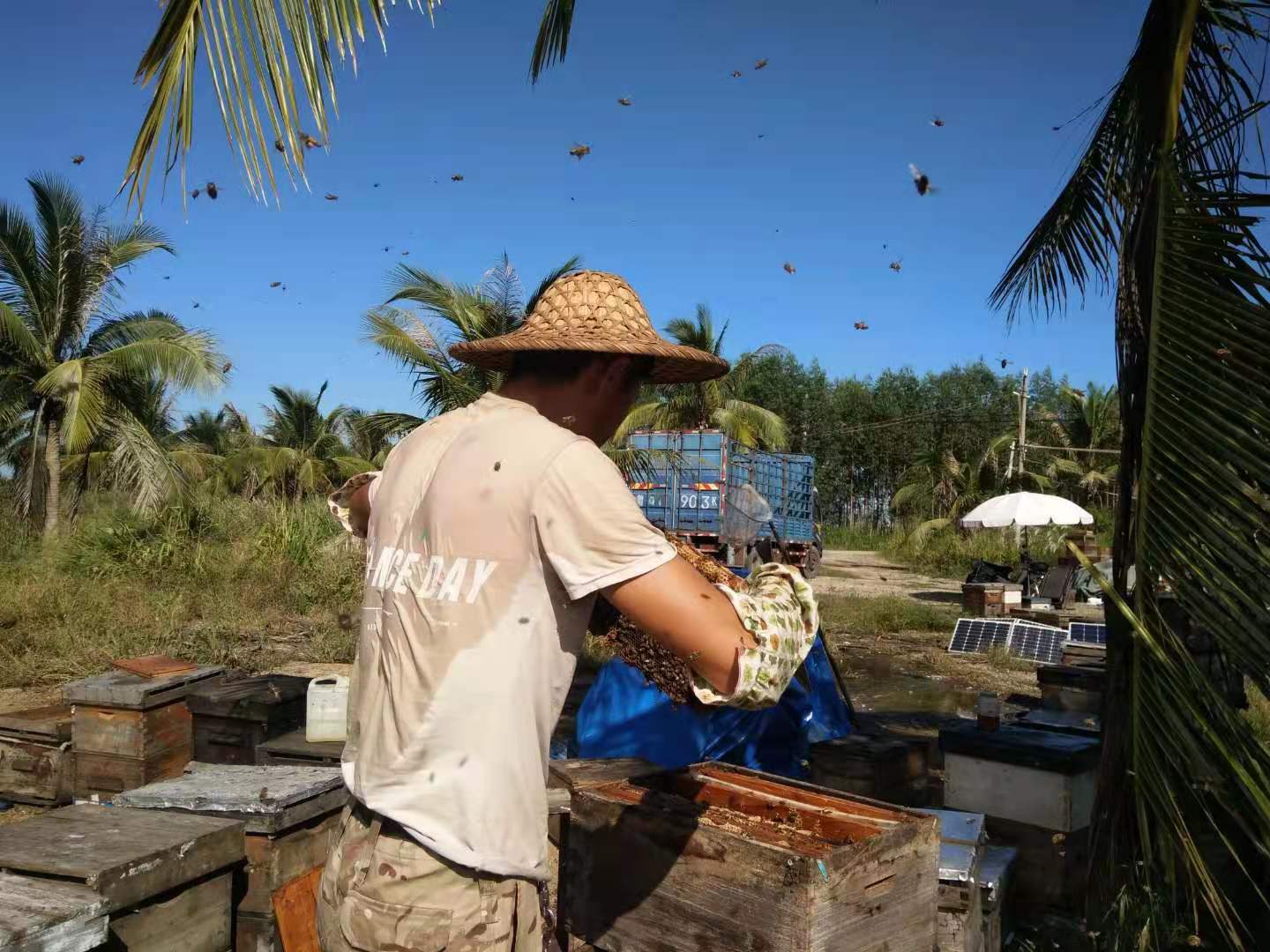 一瓶好蜂蜜，应该多少钱？